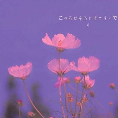 九域飞升手游(暂未上线)v1.0 安卓版